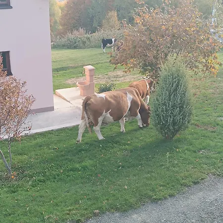 Panorama House Villa Goc