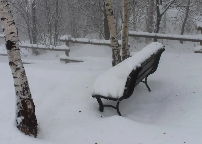 Vilă Panorama House Goc