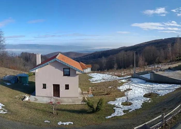 Panorama House Vilă Goc